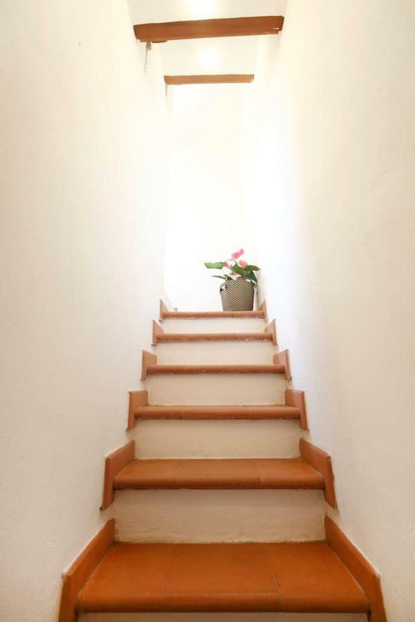 Fiesse Cottage มานารอลา ภายนอก รูปภาพ